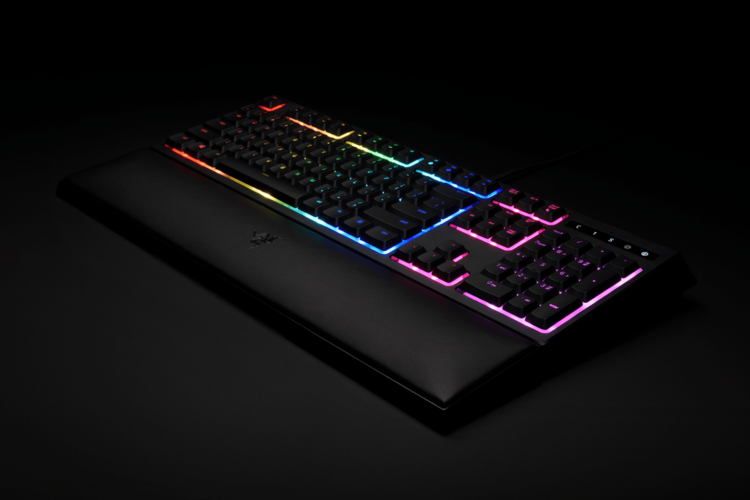 razer ornata