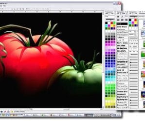 software fotoritocco