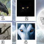 Test personalità animale