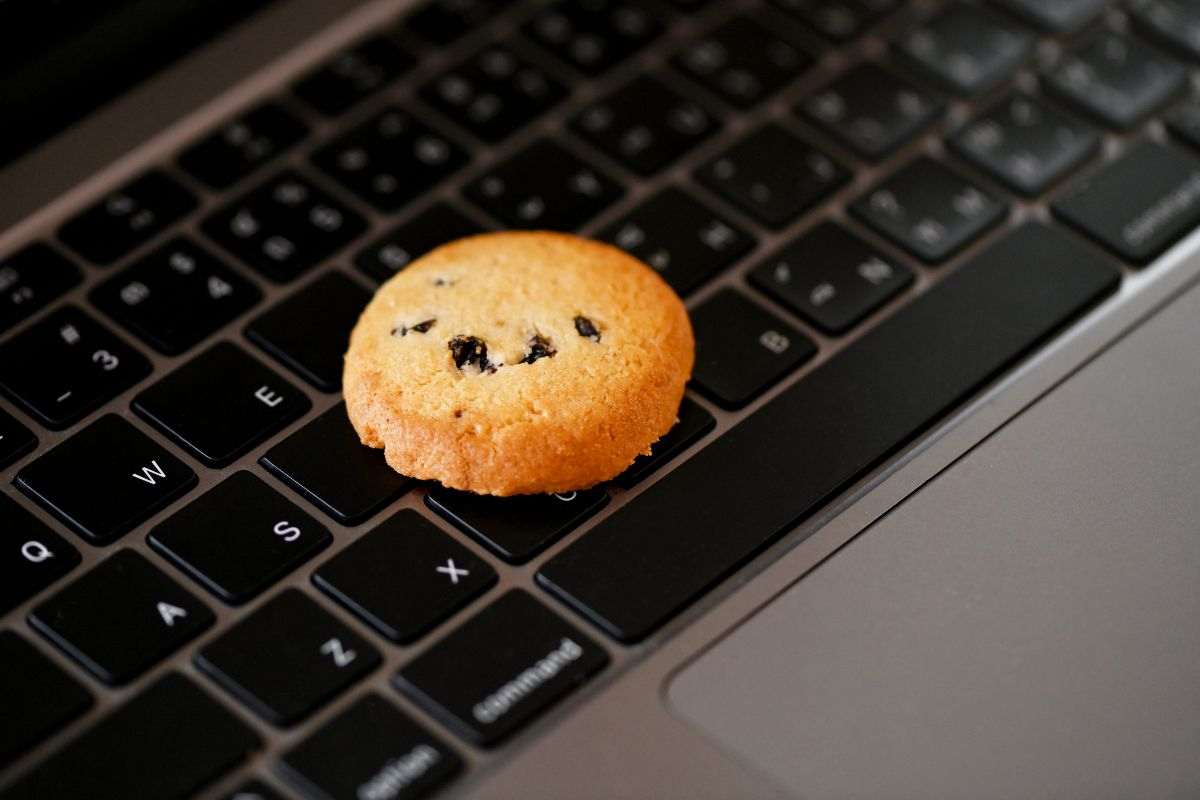 I cookie esistono quasi da quando c’è Internet