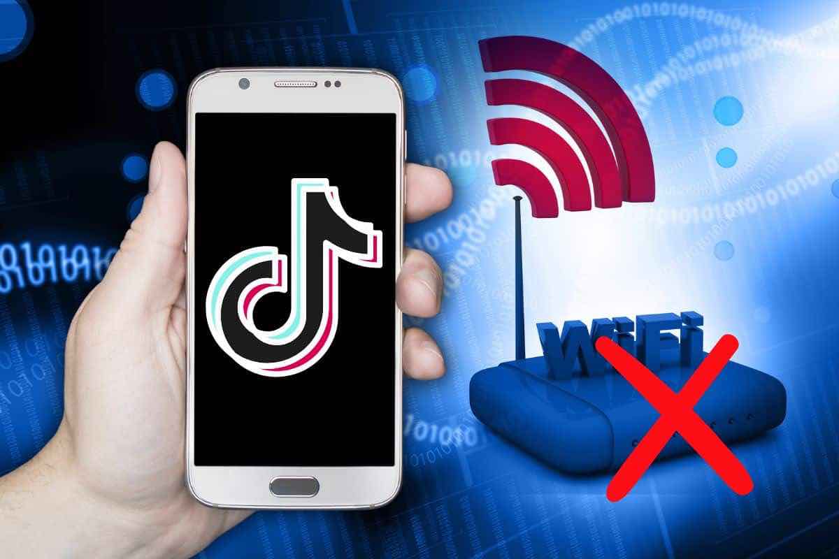 Il trucco per guardare fino a 2 ore di TikTok offline