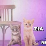 Test 1 minuto
