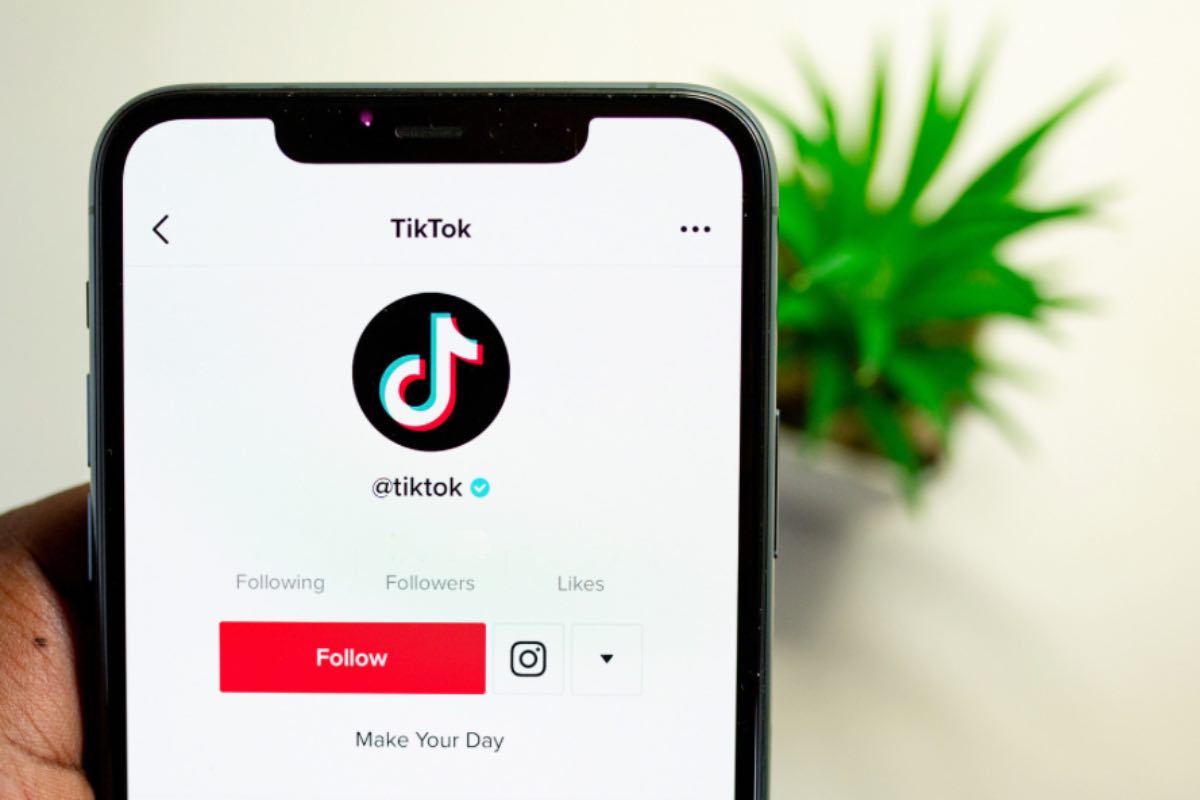 TikTok, al via un'interessante campagna: gli utenti protagonisti