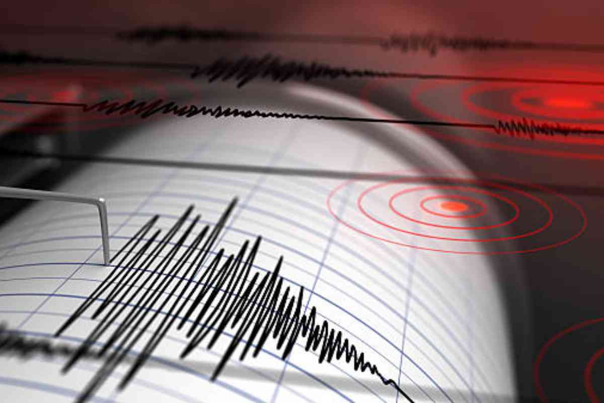 Terremoti funzione android trasforma sismografo
