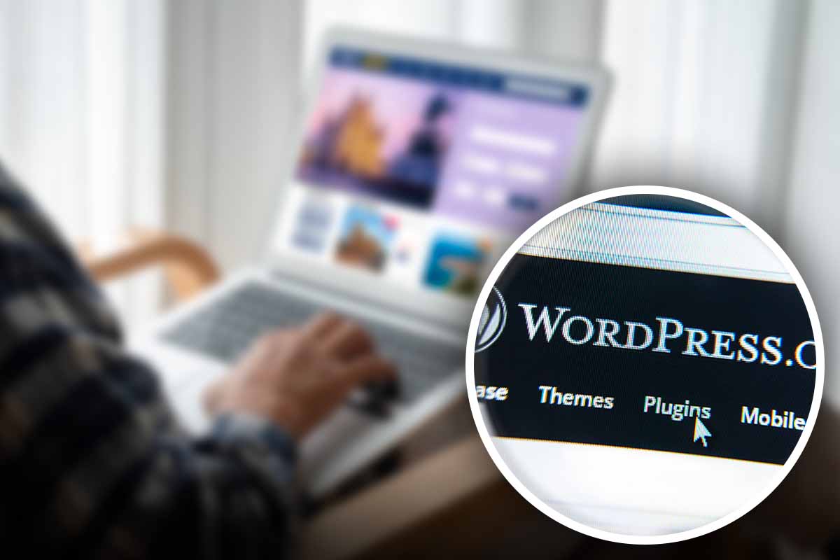 A lot of websites are at risk, there is a WordPress security flaw: what you need to do immediately