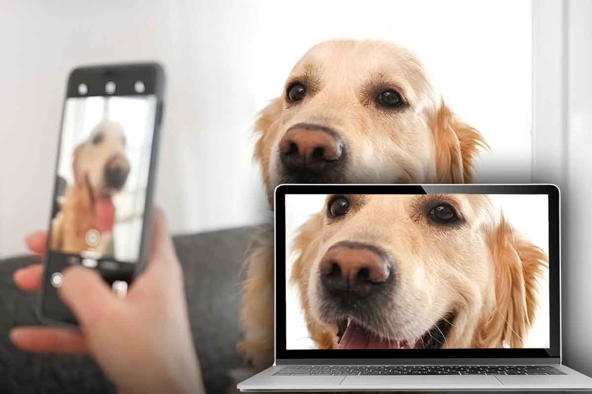 come trasferire foto da smartphone a pc