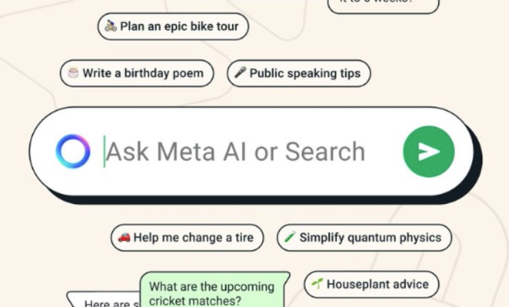 cosa si può fare con meta ai